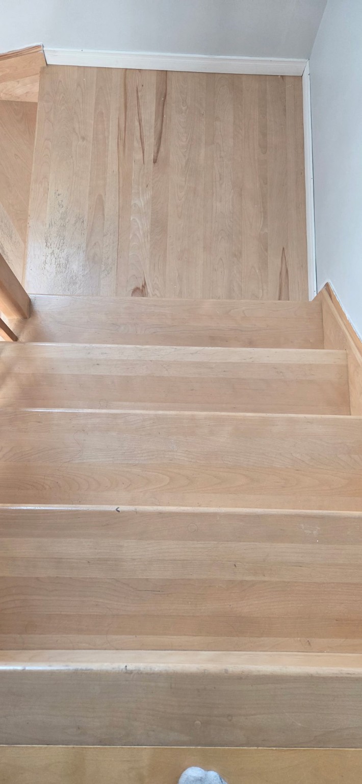Plancher entretenu par Groupe VDM
